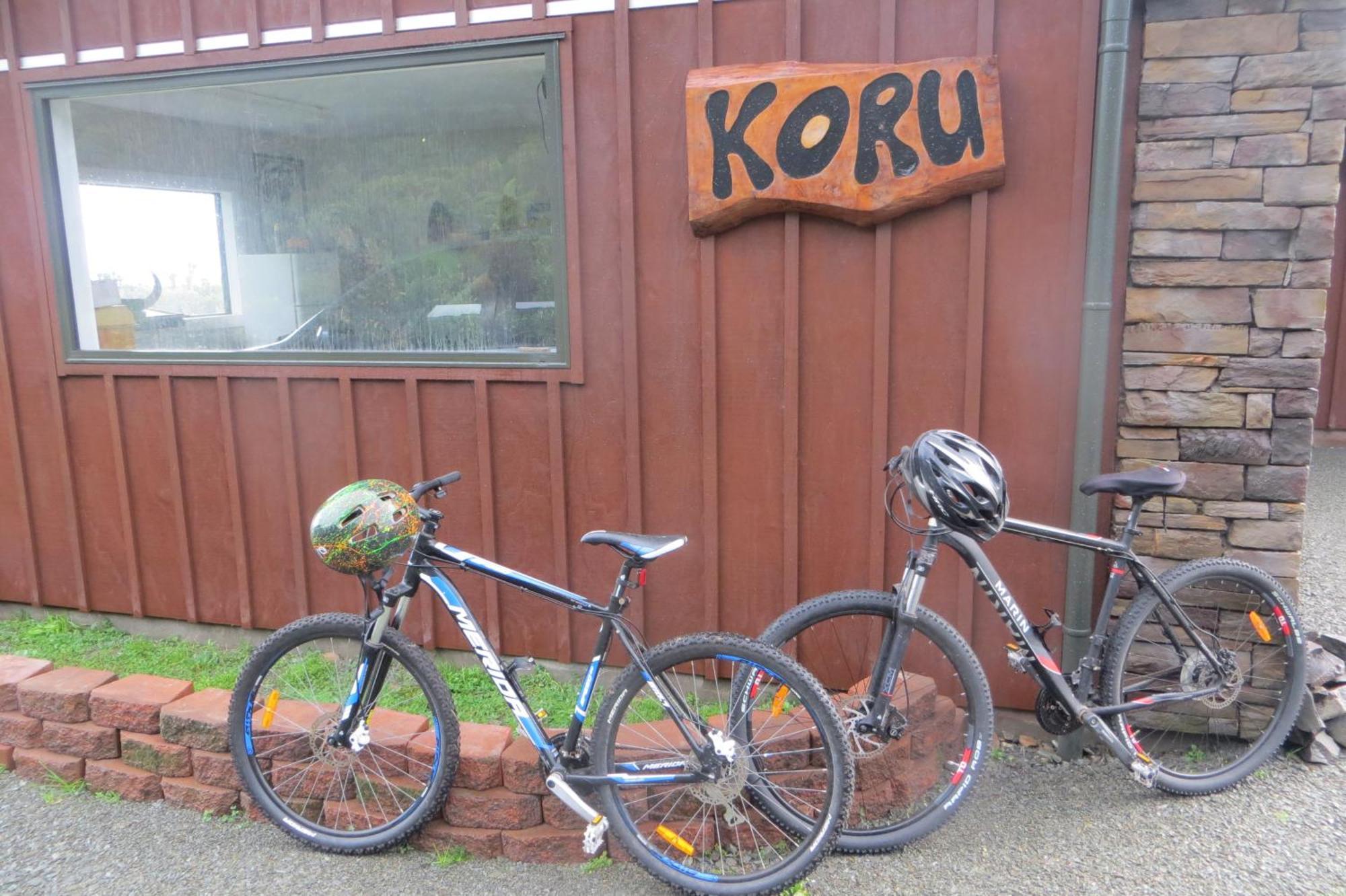 Barrytown Koru Beachfront Holiday Cabins & Hot Tub מראה חיצוני תמונה